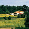 Agriturismo La Topaia in Mugello vicino Firenze